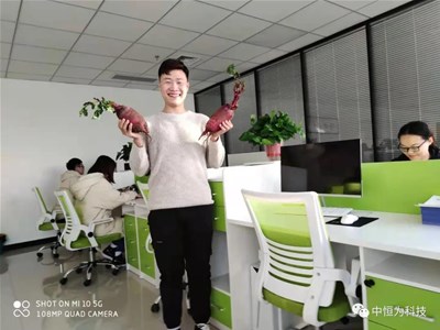 中恒为科技探访“葛沽”萝卜