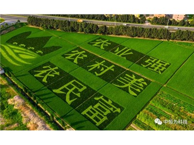 中恒为科技助力乡村振兴再出发