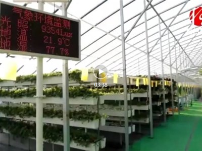中恒为科技(天津)有限公司数字化农业物联网水肥一体化系统科技赋能助力“桓台设施农业模式”高质量发展