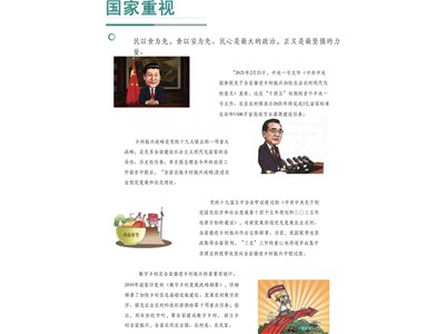 国家政策