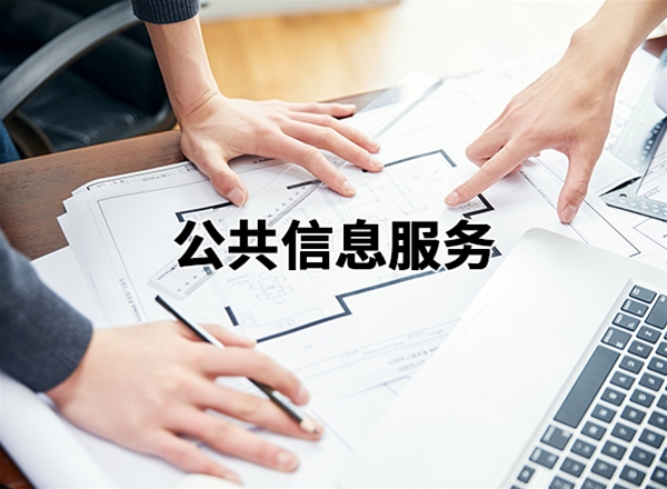 公共信息服务