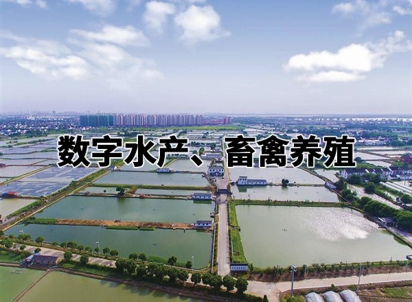 数字水产、畜禽养殖